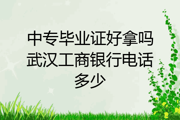 中专毕业证好拿吗武汉工商银行电话多少