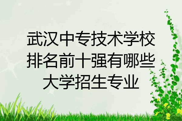 武汉中专技术学校排名前十强有哪些大学招生专业