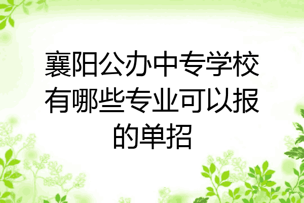 襄阳公办中专学校有哪些专业可以报的单招
