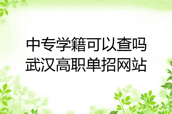 中专学籍可以查吗武汉高职单招网站