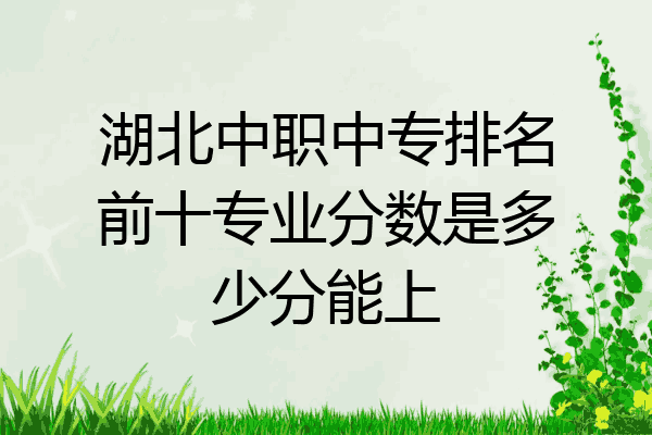 湖北中职中专排名前十专业分数是多少分能上