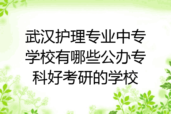 武汉护理专业中专学校有哪些公办专科好考研的学校
