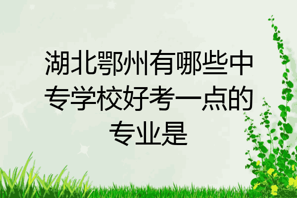湖北鄂州有哪些中专学校好考一点的专业是