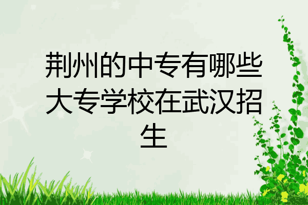 荆州的中专有哪些大专学校在武汉招生