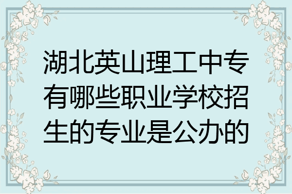 湖北英山理工中专有哪些职业学校招生的专业是公办的
