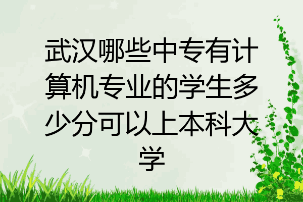 武汉哪些中专有计算机专业的学生多少分可以上本科大学