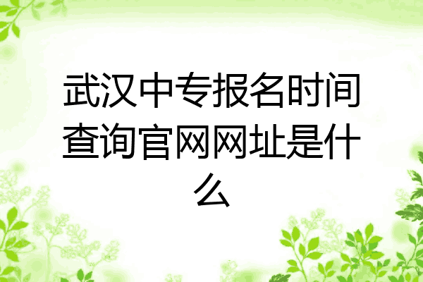 武汉中专报名时间查询官网网址是什么