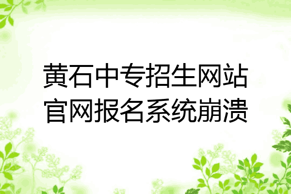 黄石中专招生网站官网报名系统崩溃