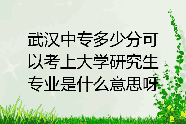 武汉中专多少分可以考上大学研究生专业是什么意思呀