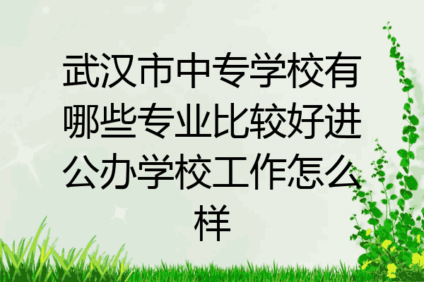 武汉市中专学校有哪些专业比较好进公办学校工作怎么样