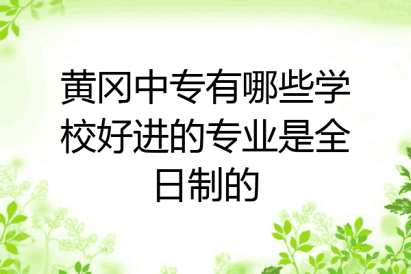 黄冈中专有哪些学校好进的专业是全日制的