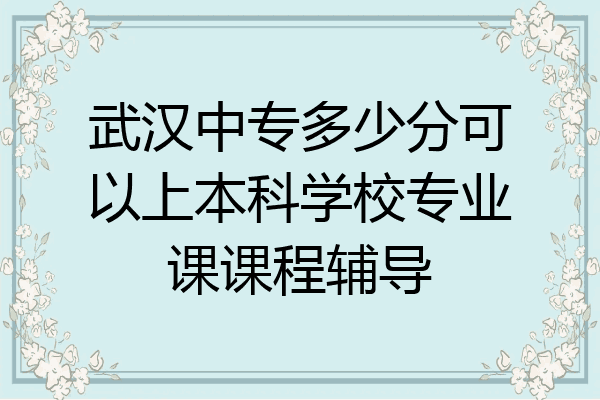 武汉中专多少分可以上本科学校专业课课程辅导