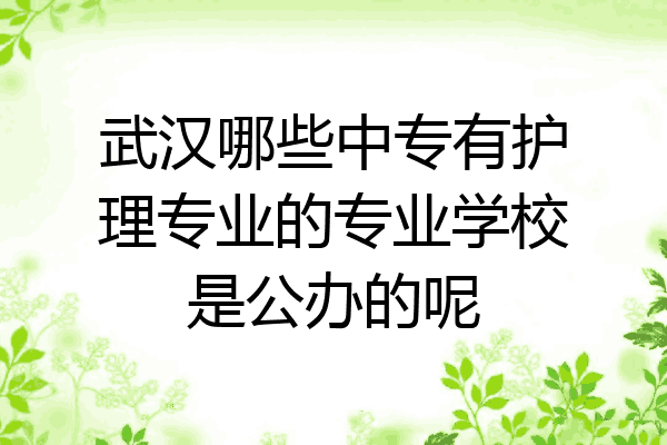 武汉哪些中专有护理专业的专业学校是公办的呢