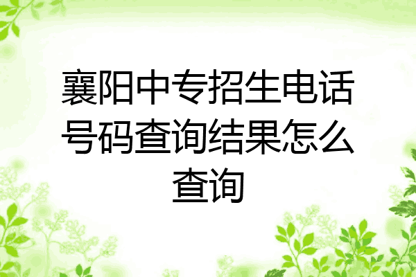 襄阳中专招生电话号码查询结果怎么查询
