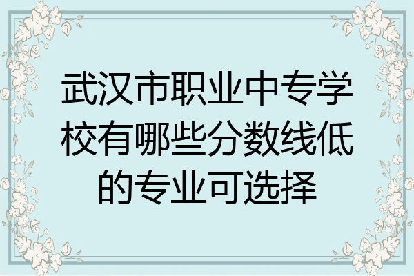 武汉市职业中专学校有哪些分数线低的专业可选择