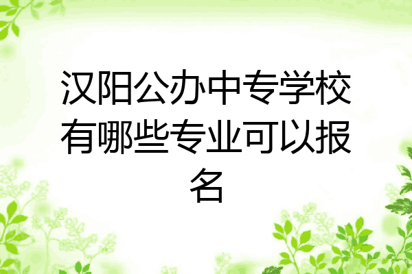 汉阳公办中专学校有哪些专业可以报名