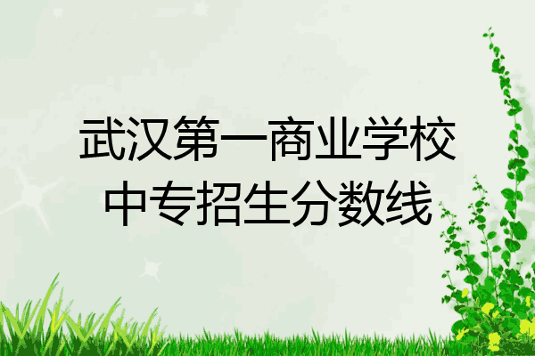 武汉第一商业学校中专招生分数线