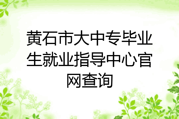 黄石市大中专毕业生就业指导中心官网查询