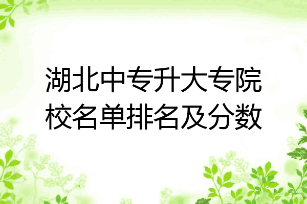 湖北中专升大专院校名单排名及分数