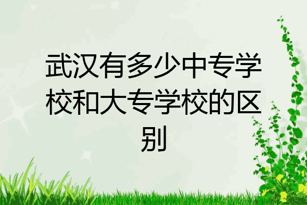 武汉有多少中专学校和大专学校的区别