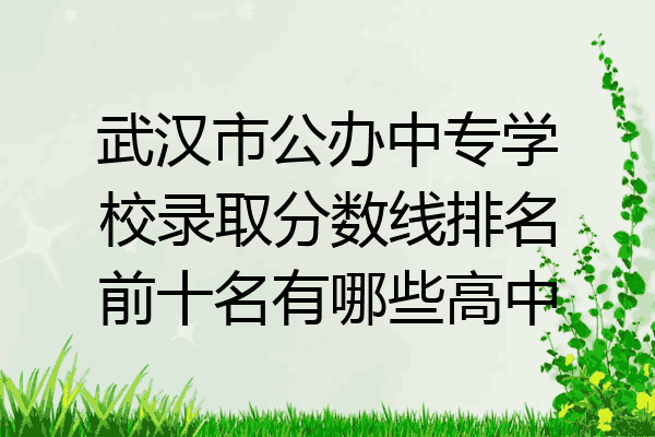 武汉市公办中专学校录取分数线排名前十名有哪些高中