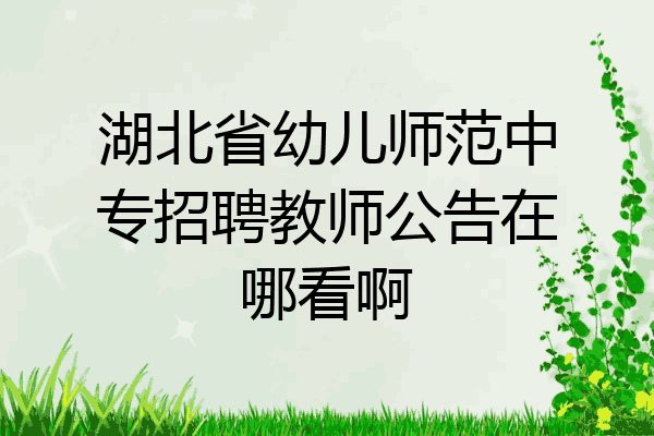 湖北省幼儿师范中专招聘教师公告在哪看啊