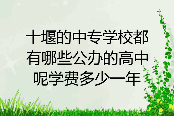 十堰的中专学校都有哪些公办的高中呢学费多少一年