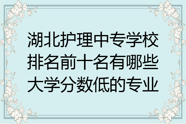 湖北护理中专学校排名前十名有哪些大学分数低的专业
