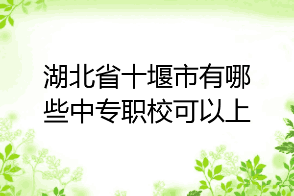 湖北省十堰市有哪些中专职校可以上