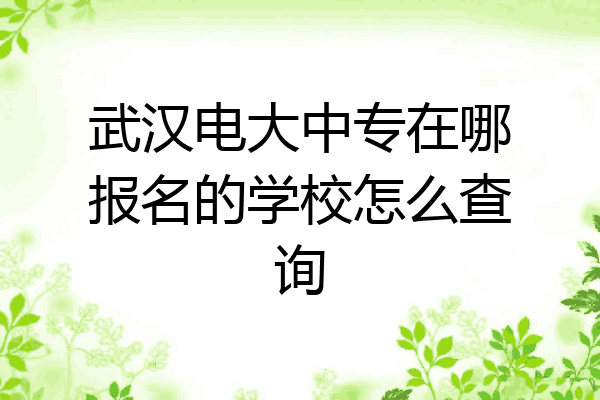 武汉电大中专在哪报名的学校怎么查询