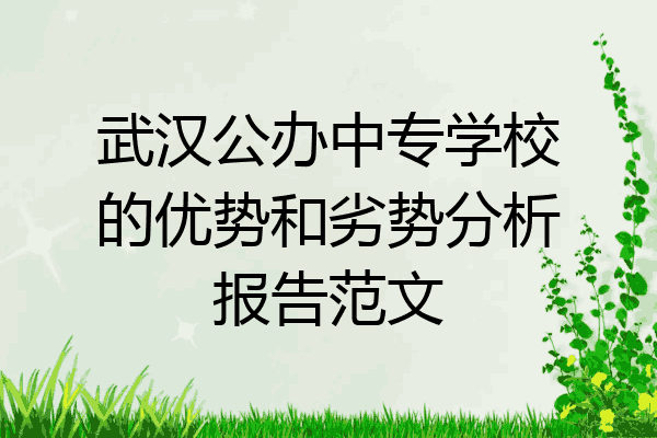 武汉公办中专学校的优势和劣势分析报告范文