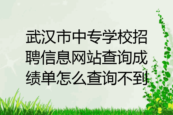 武汉市中专学校招聘信息网站查询成绩单怎么查询不到