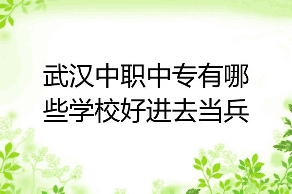 武汉中职中专有哪些学校好进去当兵
