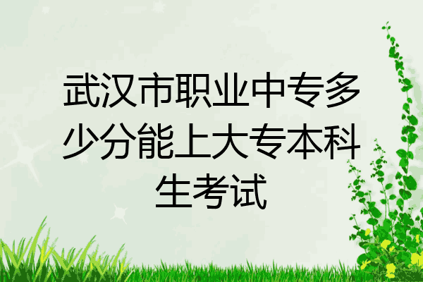 武汉市职业中专多少分能上大专本科生考试