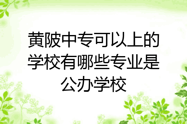 黄陂中专可以上的学校有哪些专业是公办学校