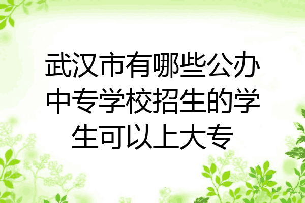 武汉市有哪些公办中专学校招生的学生可以上大专