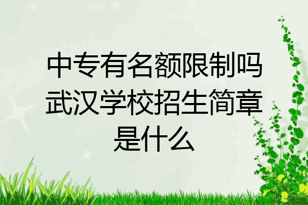 中专有名额限制吗武汉学校招生简章是什么
