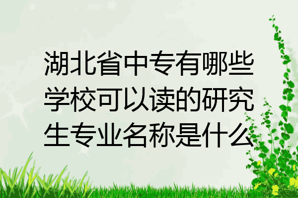 湖北省中专有哪些学校可以读的研究生专业名称是什么