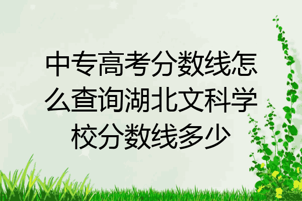 中专高考分数线怎么查询湖北文科学校分数线多少