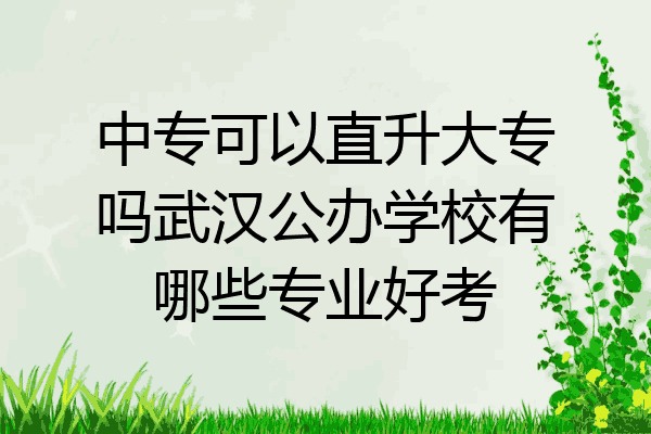 中专可以直升大专吗武汉公办学校有哪些专业好考