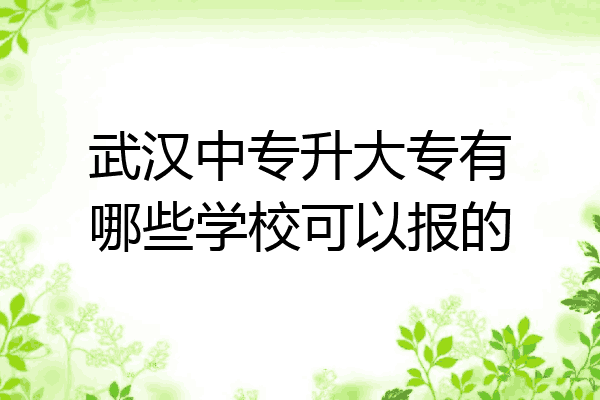 武汉中专升大专有哪些学校可以报的