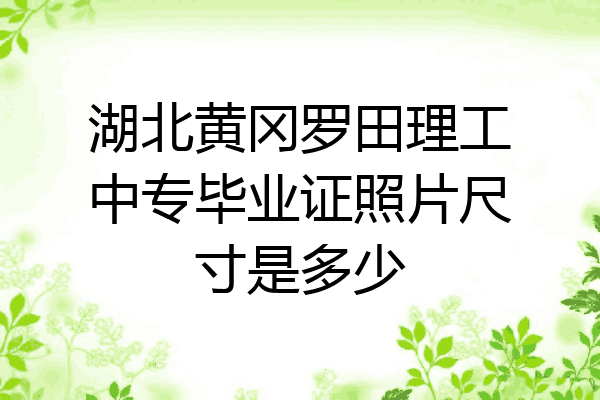 湖北黄冈罗田理工中专毕业证照片尺寸是多少