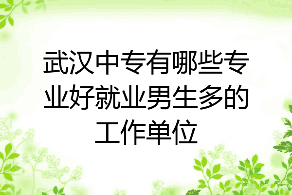 武汉中专有哪些专业好就业男生多的工作单位