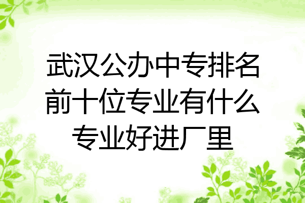 武汉公办中专排名前十位专业有什么专业好进厂里