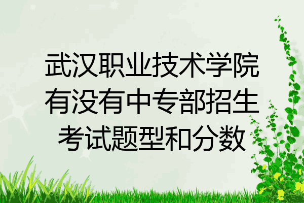 武汉职业技术学院有没有中专部招生考试题型和分数