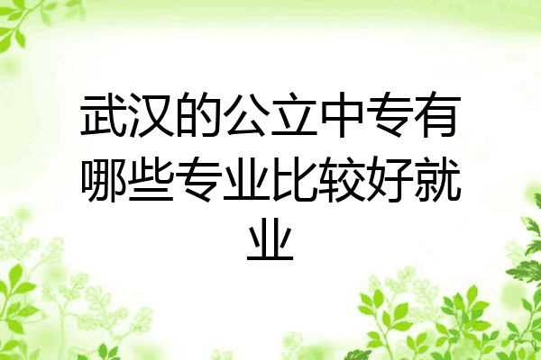 武汉的公立中专有哪些专业比较好就业