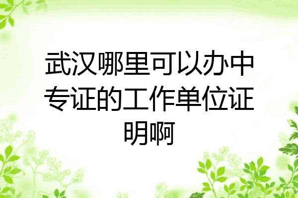 武汉哪里可以办中专证的工作单位证明啊