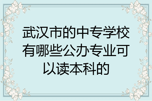 武汉市的中专学校有哪些公办专业可以读本科的