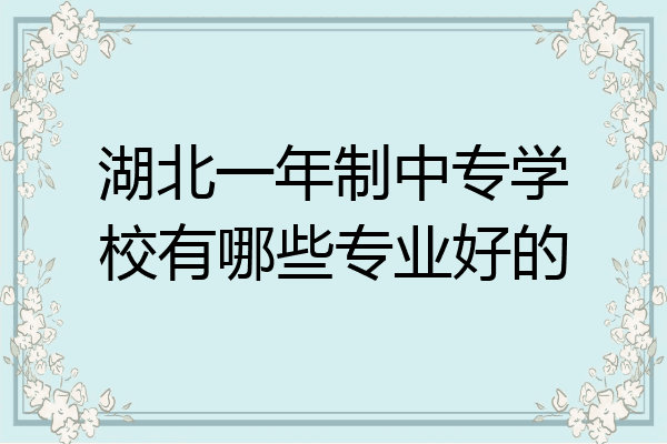 湖北一年制中专学校有哪些专业好的