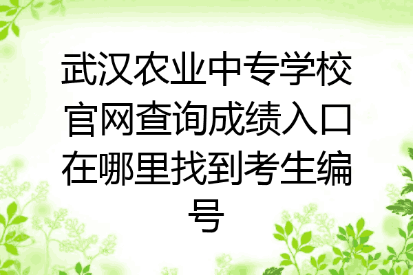 武汉农业中专学校官网查询成绩入口在哪里找到考生编号